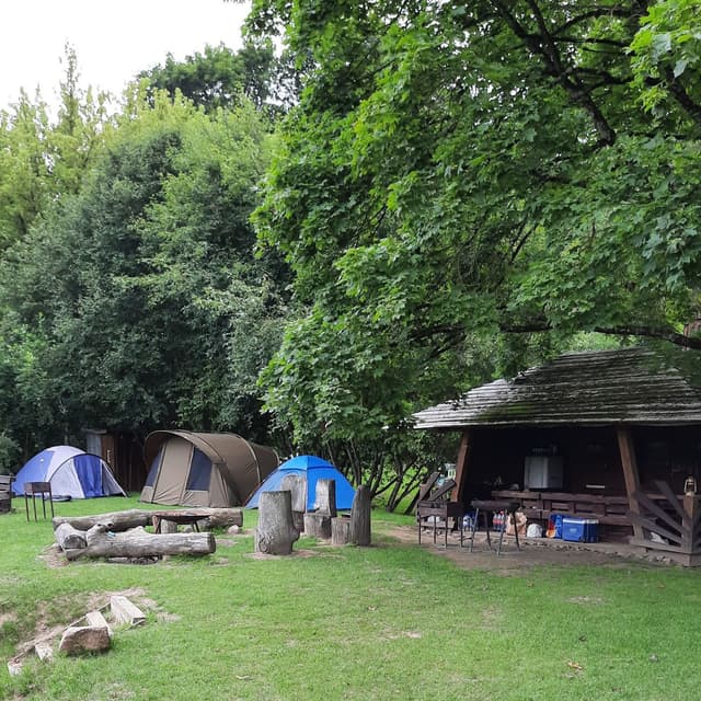 Kempingas ZAKELISKIAI ant Dubysos upės kranto