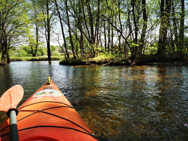  Sodybos nuoma Ignalinos rajone, Aukštaitijos nacionaliniam parke, Ignalinos r. sav. 