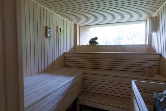 🦌 Sodyba gamtoje su pirtimi, kubilu ir erdvia teritorija