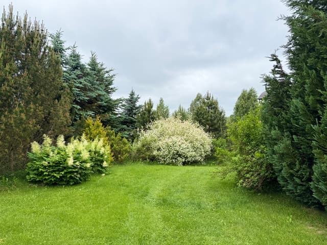 🌿 Ištrūkite į gamtos glėbį – poilsis sodyboje Molėtų rajone, vos 50 km nuo Vilniaus! 🌿