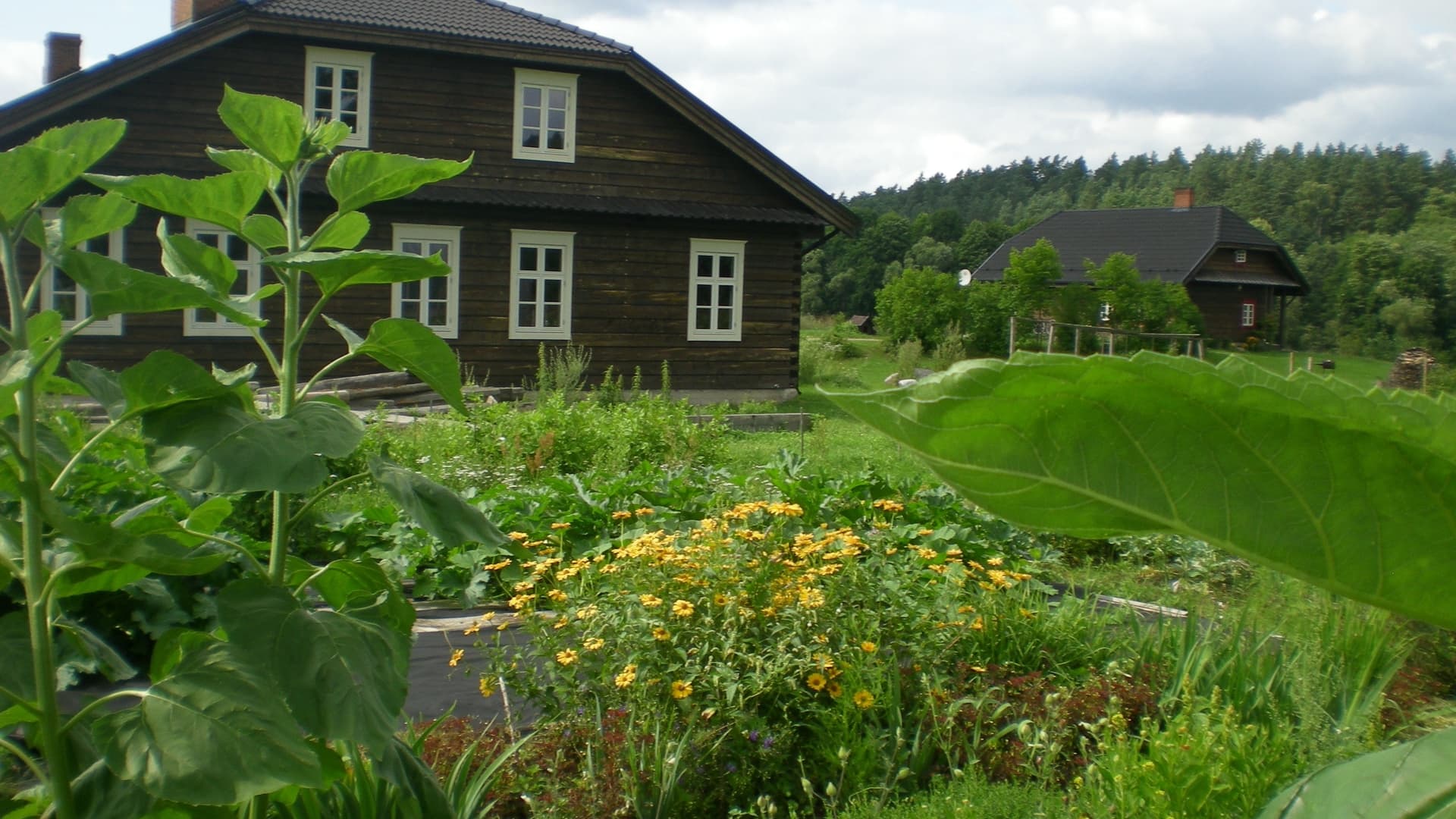 Sodyba „Senosios Gegužinės ūkis“