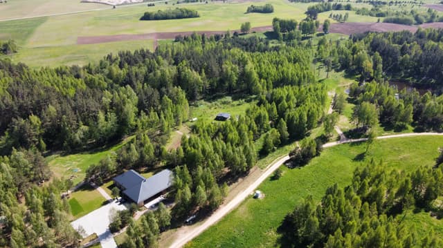 Miško sanatorija Luokesoj