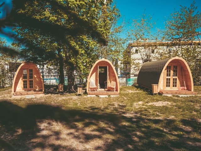 Downtown Forest Hostel & Camping