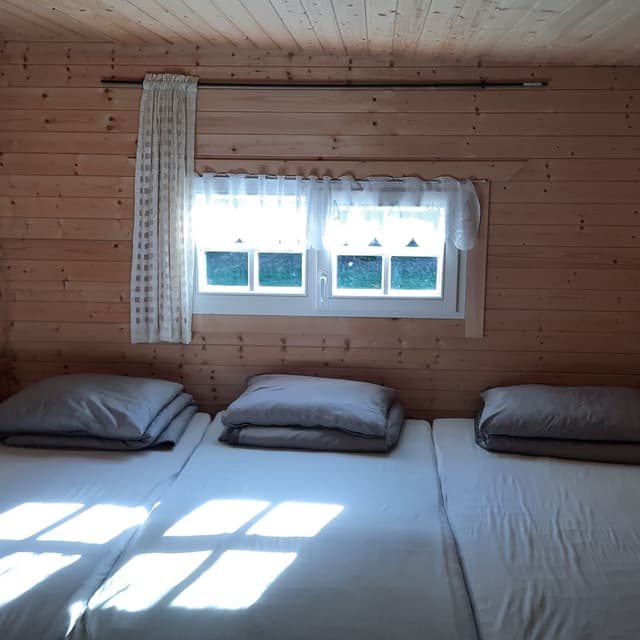 Kempingas ZAKELISKIAI ant Dubysos upės kranto