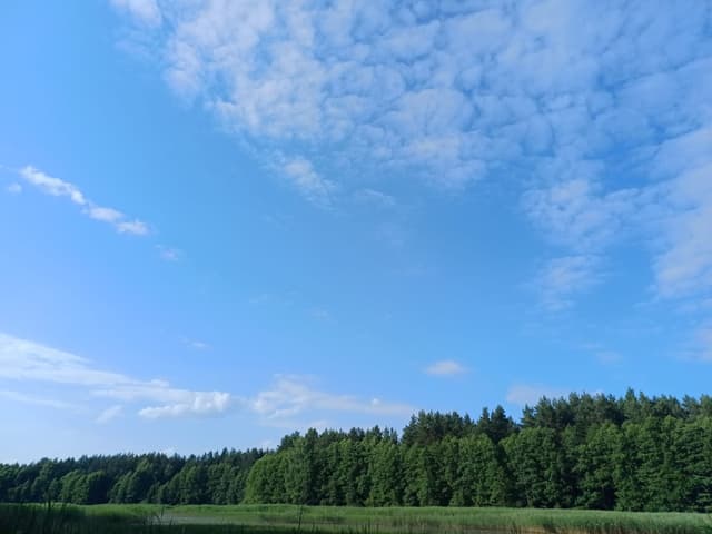 Poilsis kaimo sodyboje prie upės Maloniai kviečiame į mūsų nuostabią sodybą, esančią vaizdingame miš