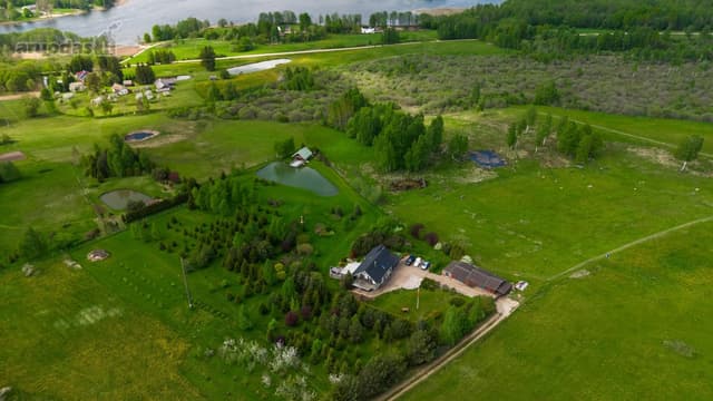 ATSILAISVINO MINDAUGINIŲ SAVAITGALIS (liepos 4-6 d.)