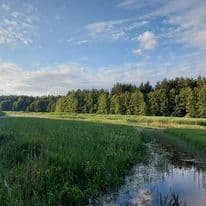 Poilsis kaimo sodyboje prie upės Maloniai kviečiame į mūsų nuostabią sodybą, esančią vaizdingame miš