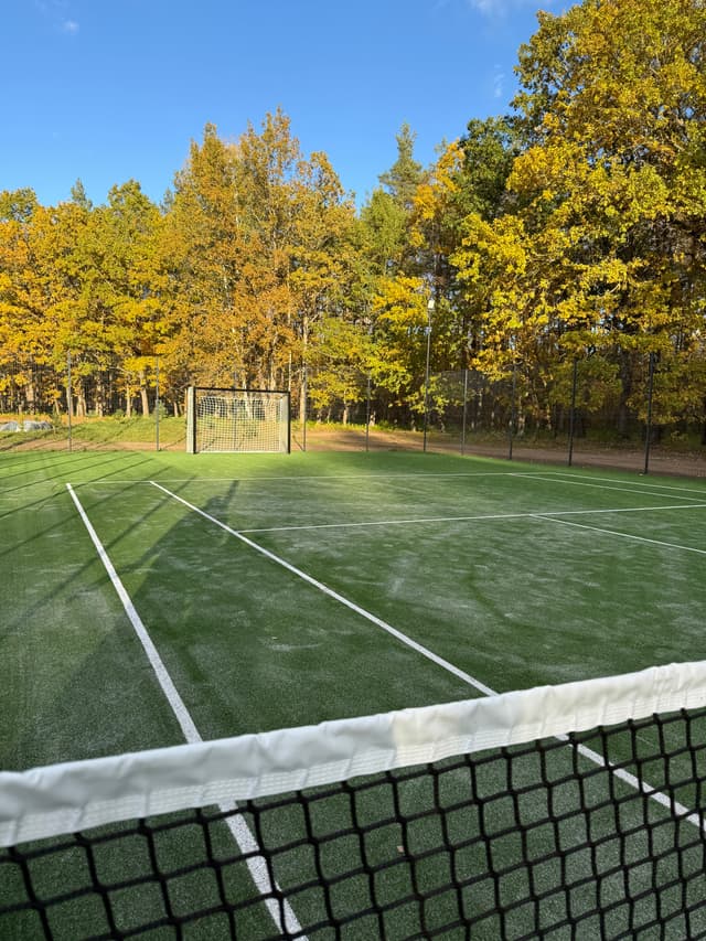 Nameliai miško apsuptyje